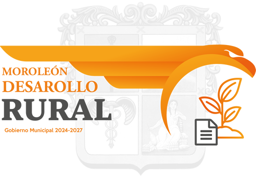 DIRECCIÓN DE DESARROLLO RURAL